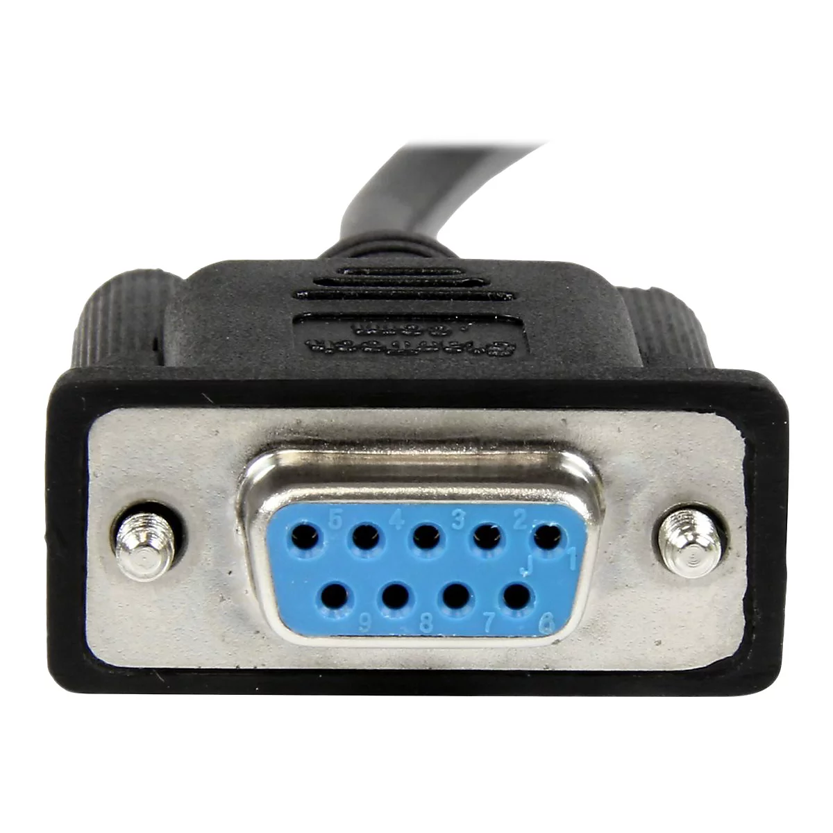 Nahaufnahme eines seriellen 9-Pin-D-Sub-Steckers mit blauen Pins. Der Stecker ist schwarz und silberfarben.