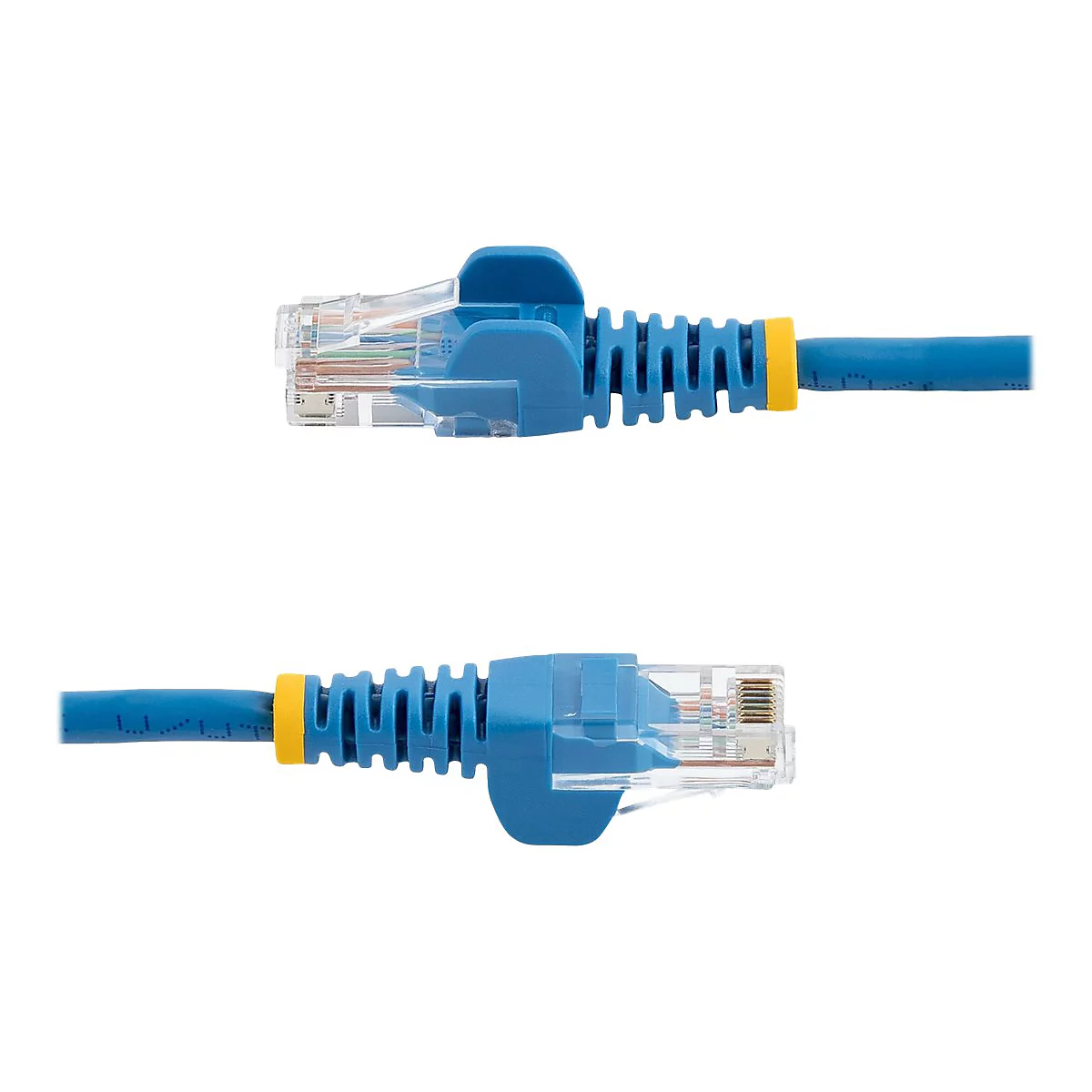 Deux câbles Ethernet bleus, vue détaillée. Connecteurs bleus avec des anneaux jaunes, prise transparente, fond blanc.