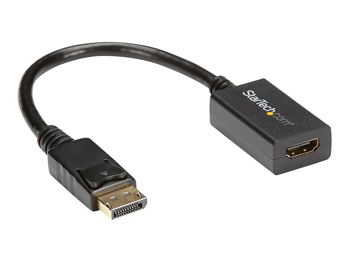 StarTech.com DisplayPort auf HDMI Video Adapter / Konverter (Stecker/Buchse) - DP zu HDMI mit bis zu 1920x1200 - DP / HDMI Länge 25cm - Videoadapter - DisplayPort männlich zu HDMI weiblich - 26.5 cm