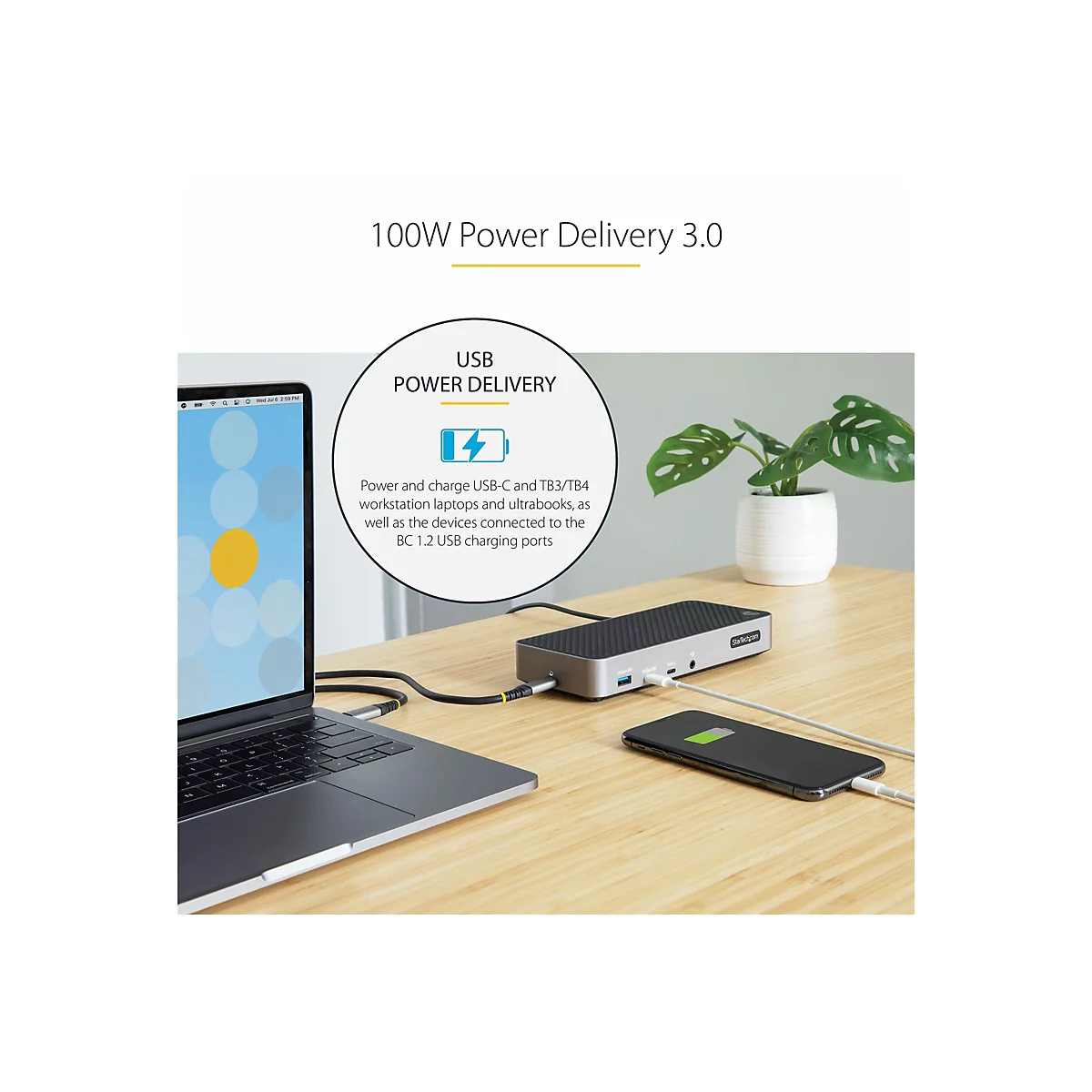 Ein Laptop, ein Smartphone und eine Dockingstation auf einem Holztisch. Im Hintergrund steht eine Topfpflanze.