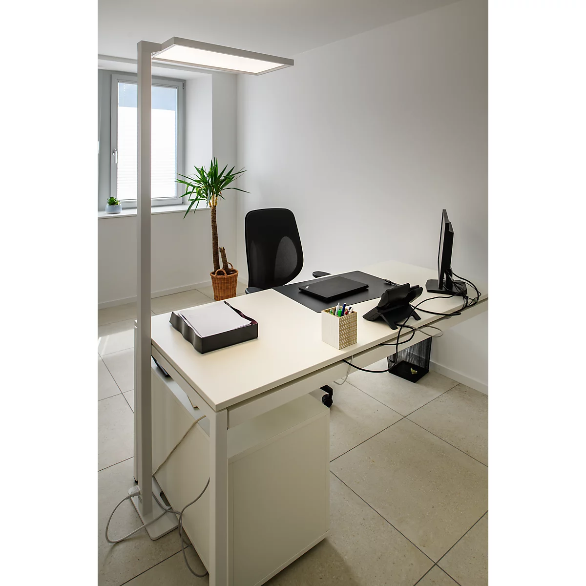 Büro mit Schreibtisch, Lampe, Computer und Pflanze. Fenster im Hintergrund.