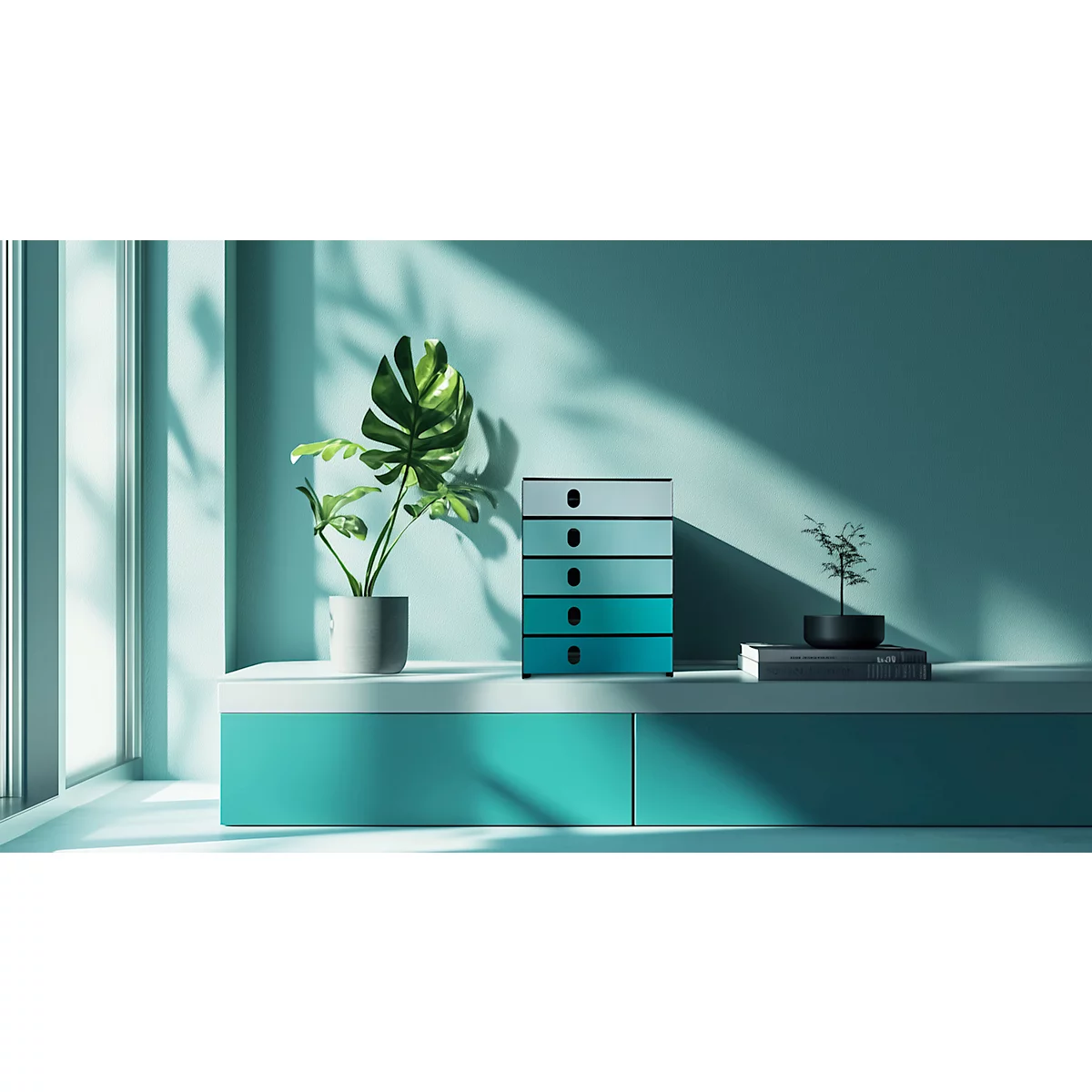 Planten en een ladekast staan op een turquoise plank, verlicht door de zon.
