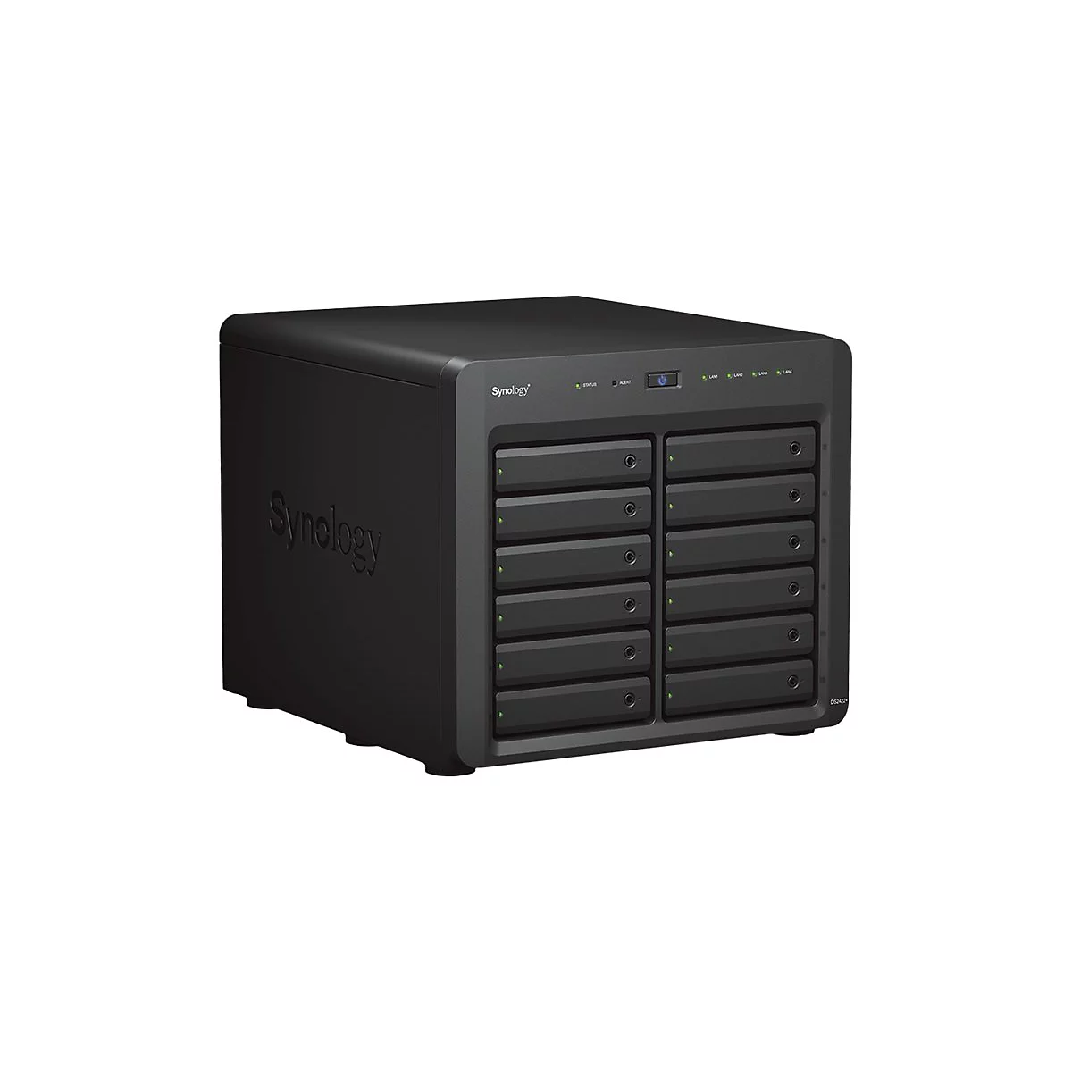 Schwarzes Synology NAS-Gerät mit 12 Einschüben für Festplatten. Front mit Ein-/Ausschalter, LEDs und Logo.