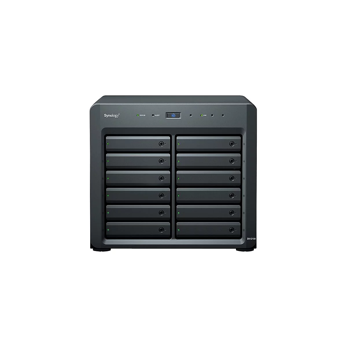 Schwarzes NAS-Gerät mit 12 Einschüben und Kontrollleuchten. Beschriftung: Synology, Status, Alert, Link.