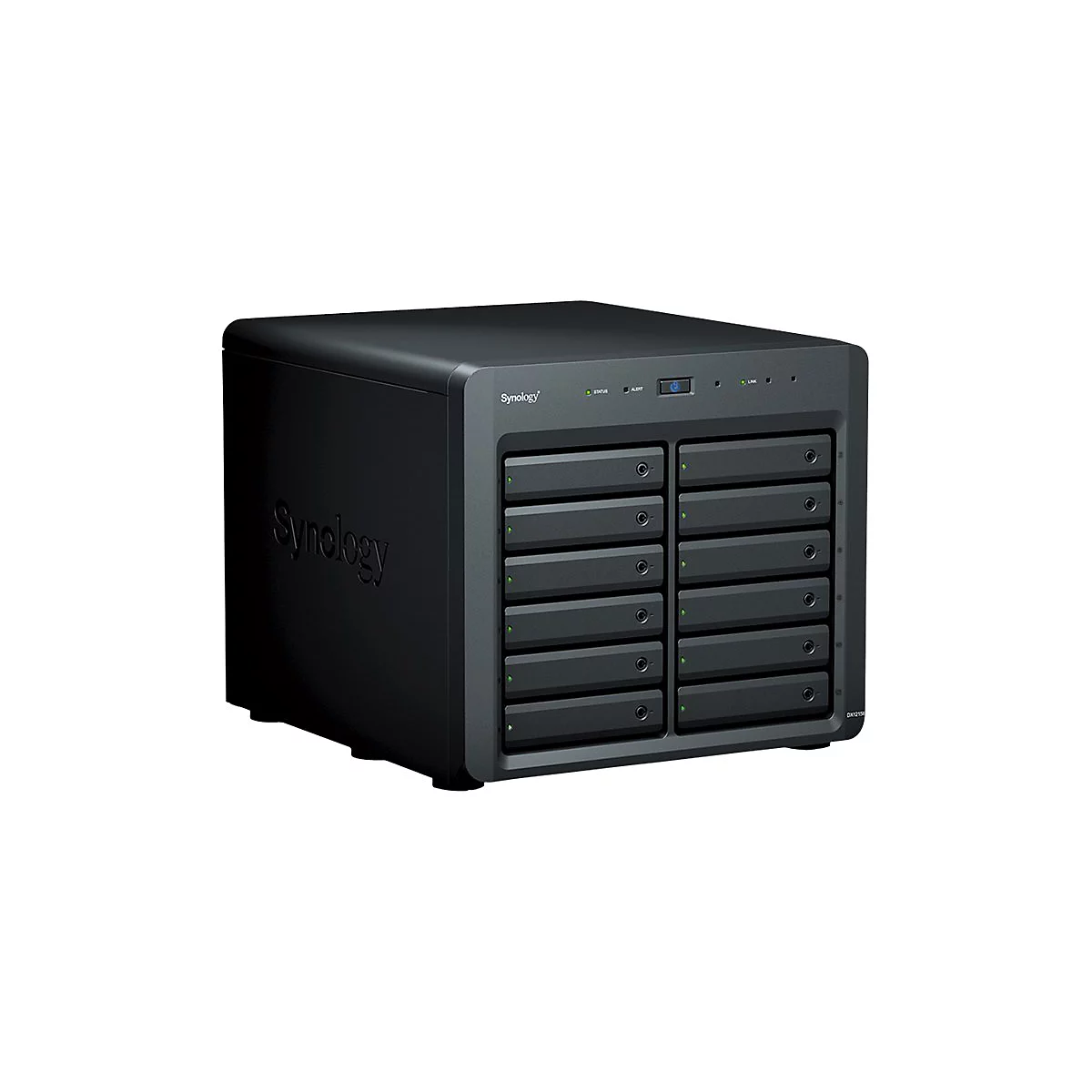 Schwarzer Synology NAS Server mit 12 Einschüben. Oben befinden sich LED-Anzeigen und ein Power-Button. Das Logo ist auf der Seite zu sehen.