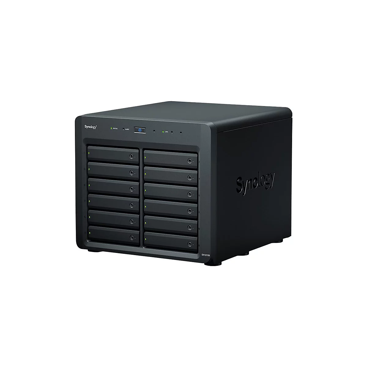 Schwarzes NAS-System mit 12 Einschüben und der Aufschrift Synology.