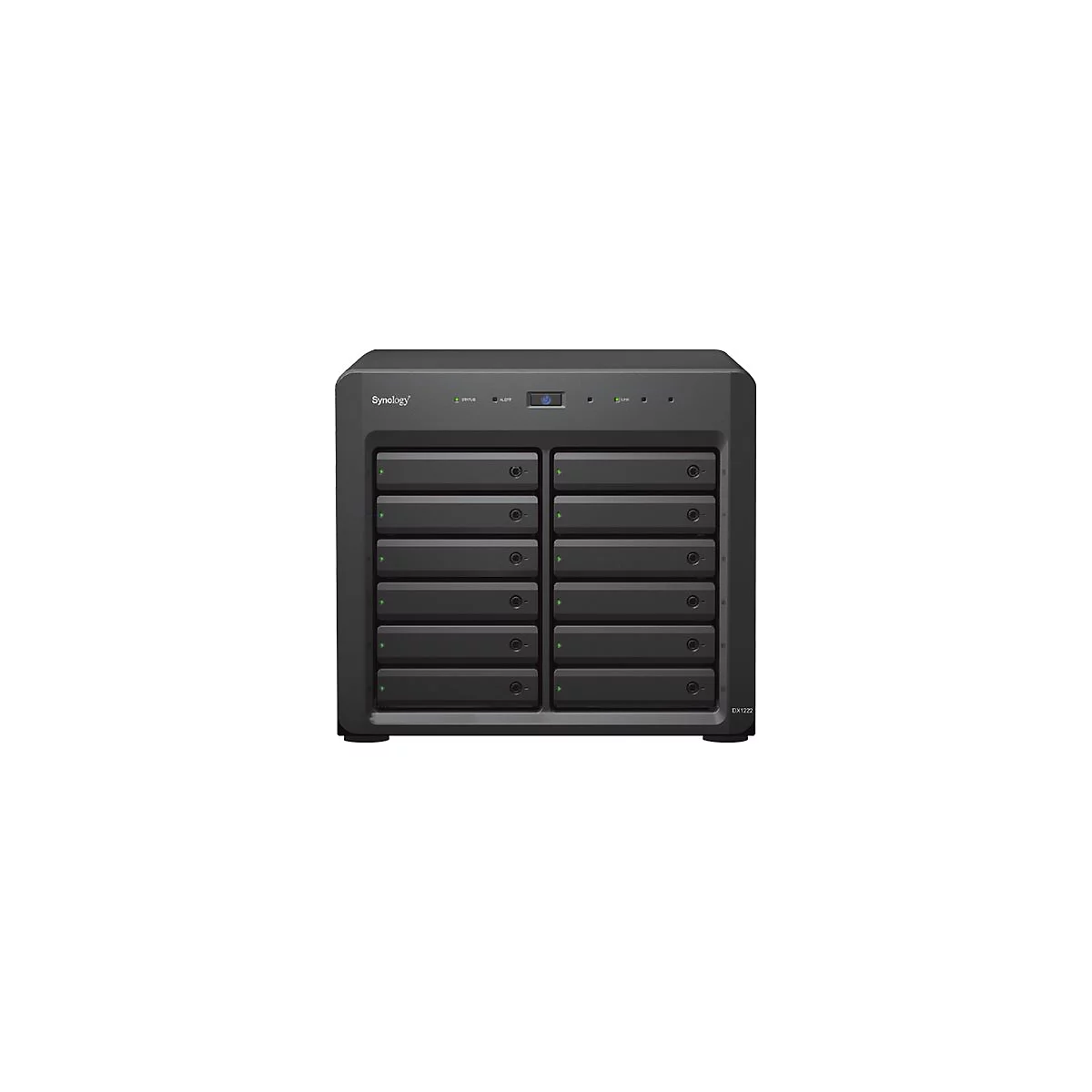 Synology DX1222 - Speichergehäuse - 12 Schächte (SATA-600)