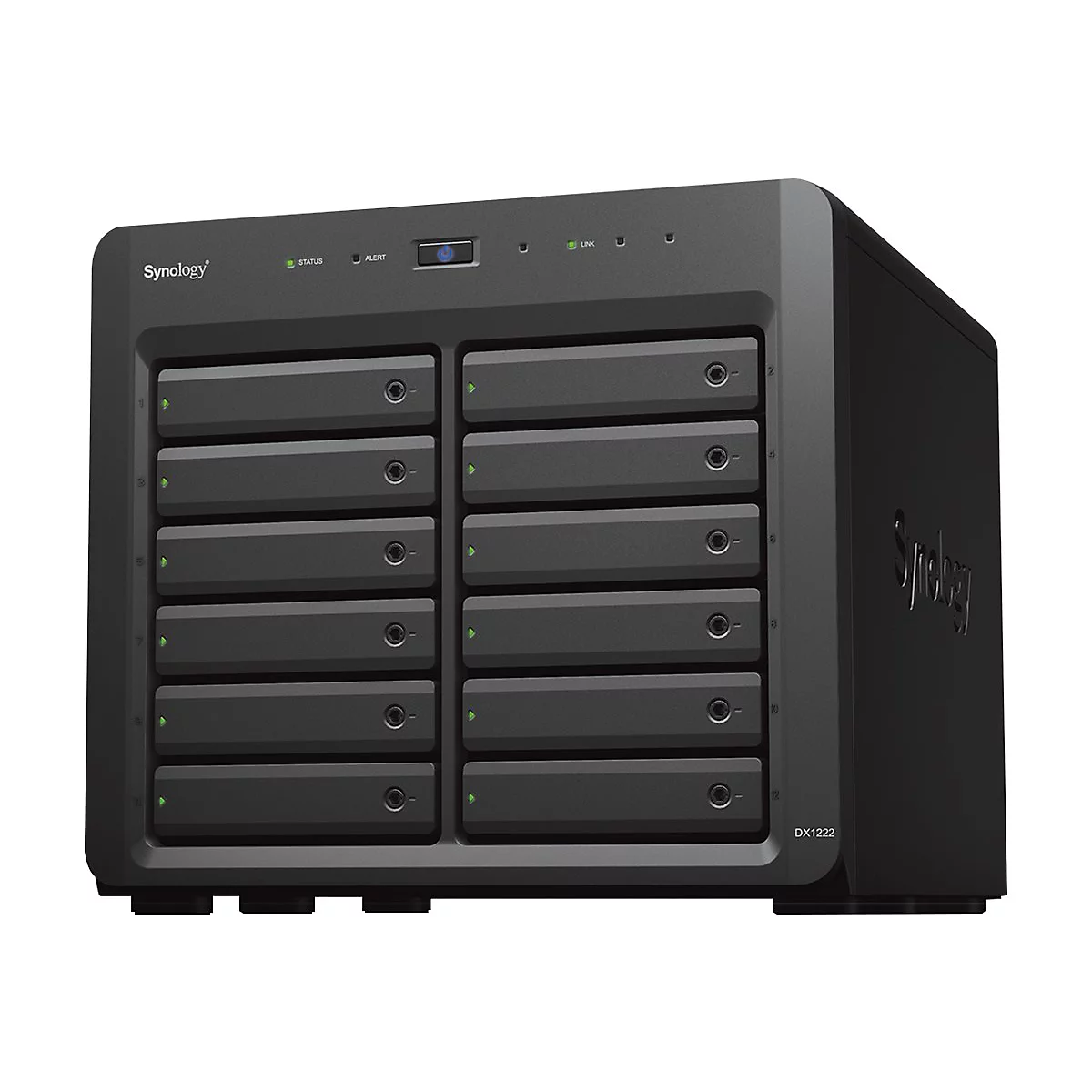 Ein schwarzes Synology DX1222 NAS-Gehäuse mit 12 Einschüben, Status- und Alert-Anzeigen. Das Gerät steht vor weißem Hintergrund.