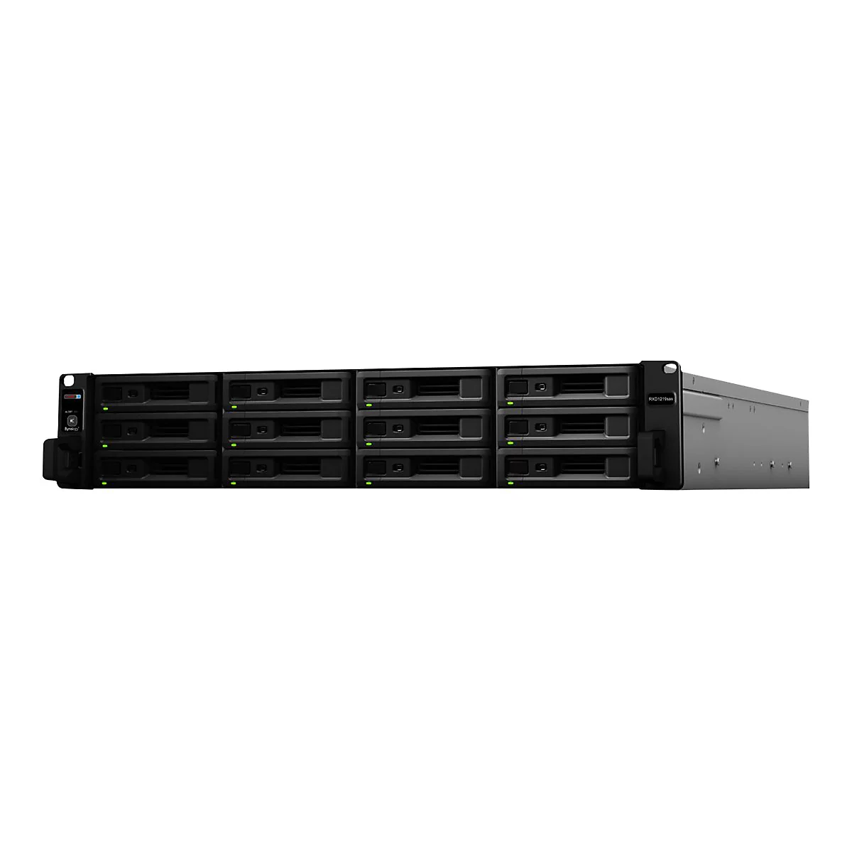 Rack noir avec baies pour disques durs, indicateurs LED verts, le produit est posé sur fond blanc.