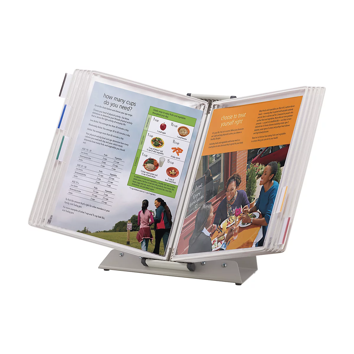 Système de panneaux d'affichage antibactérien Tarifold Sterifold, support de table avec 10 panneaux au format A4, extensible, blanc