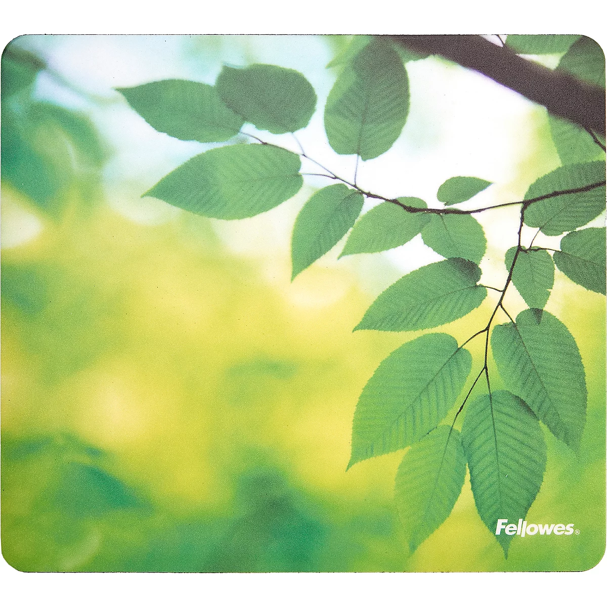 Bureau avec moniteur, clavier, support de tablette et souris. Graphiques sur la tablette.