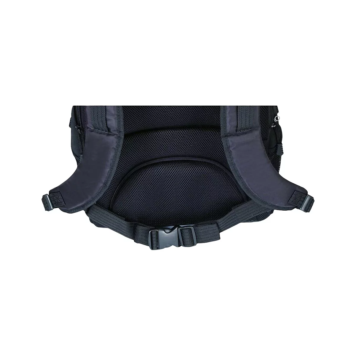 Detailaufnahme der Rückseite eines schwarzen Rucksacks mit gepolsterten Schultergurten und Rückenbelüftung. Sichtbar sind Schnallen und Gurtbänder.