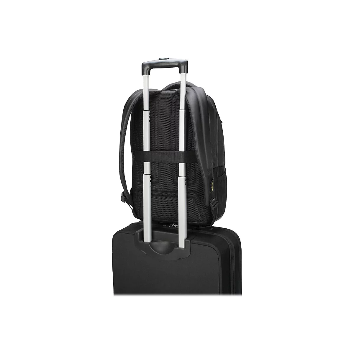 Targus CityGear Laptop Backpack - Notebook-Rucksack - 43.9 cm - 15' - 17.3' - Schwarz