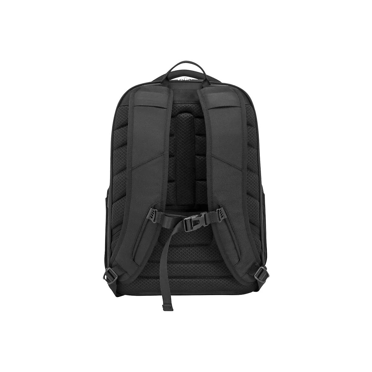 Schwarzer Rucksack von hinten, gepolsterte TrÃ¤ger, verstellbarer Brustgurt.