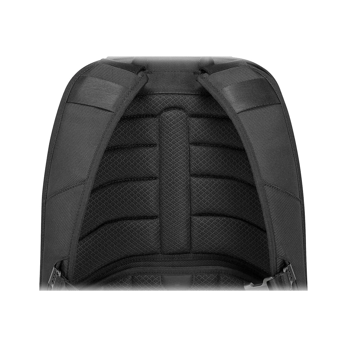 RÃ¼ckseite eines schwarzen Rucksacks, gepolstert mit atmungsaktivem Mesh-Gewebe.