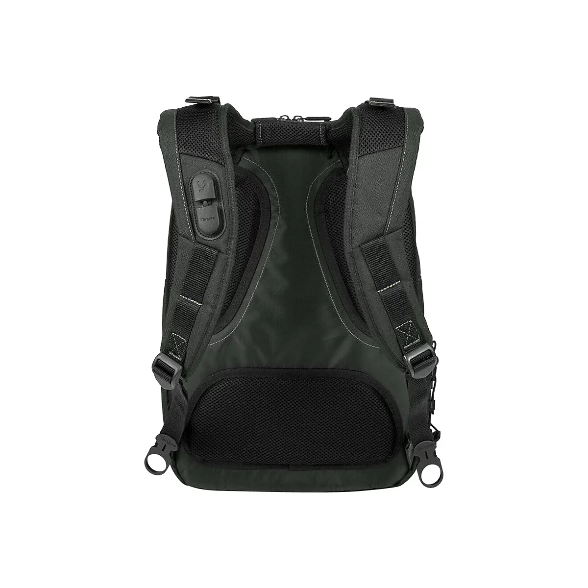 Dunkelgrüner Rucksack, Rückansicht. Gepolsterte Träger und Rücken, schwarze Details, Reißverschlüsse.