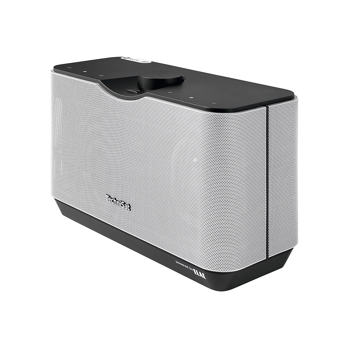 TechniSat AudioMaster MR2 - Lautsprecher - kabellos - Bluetooth, Wi-Fi - 60 Watt - Schwarz, Silber