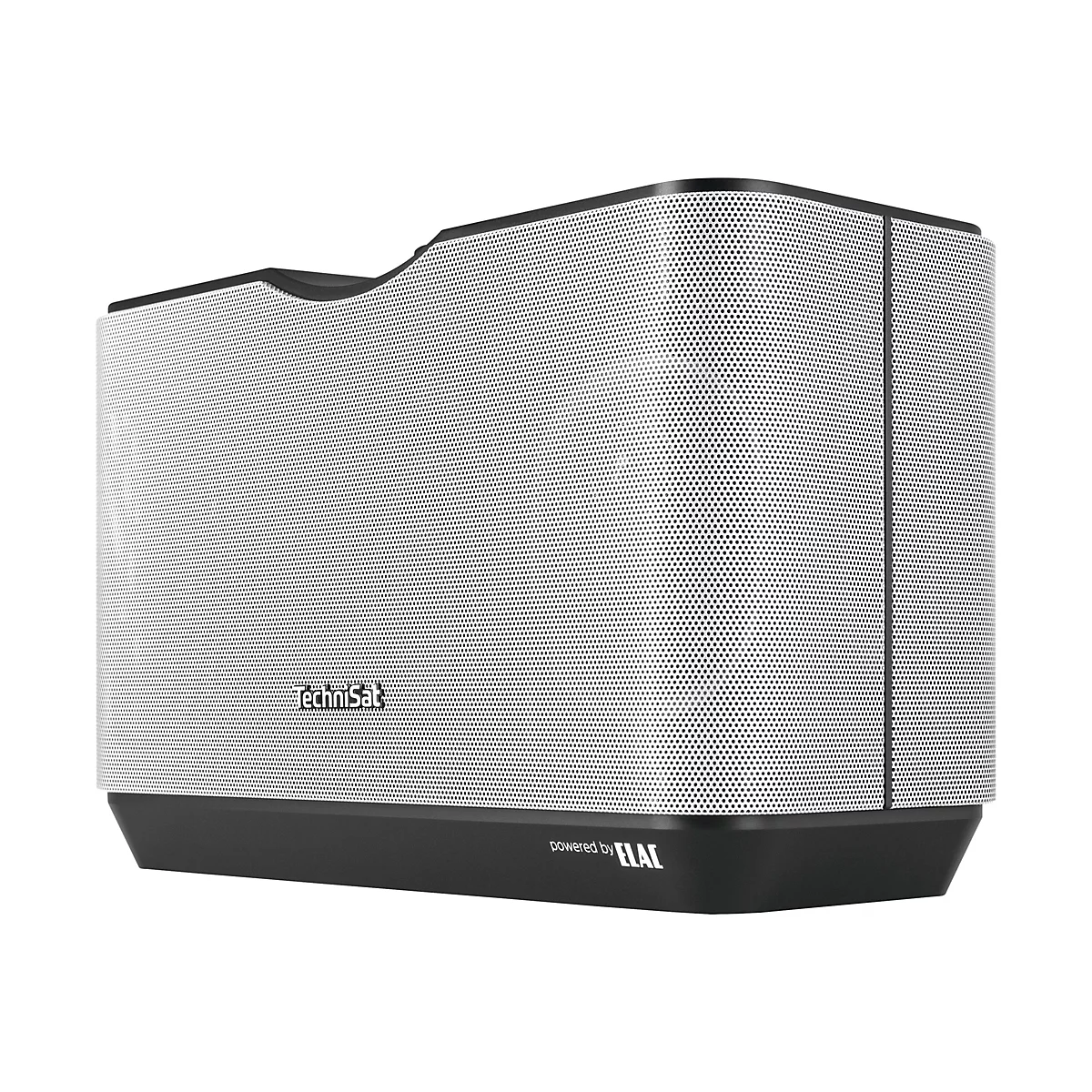 TechniSat AudioMaster MR2 - Lautsprecher - kabellos - Bluetooth, Wi-Fi - 60 Watt - Schwarz, Silber