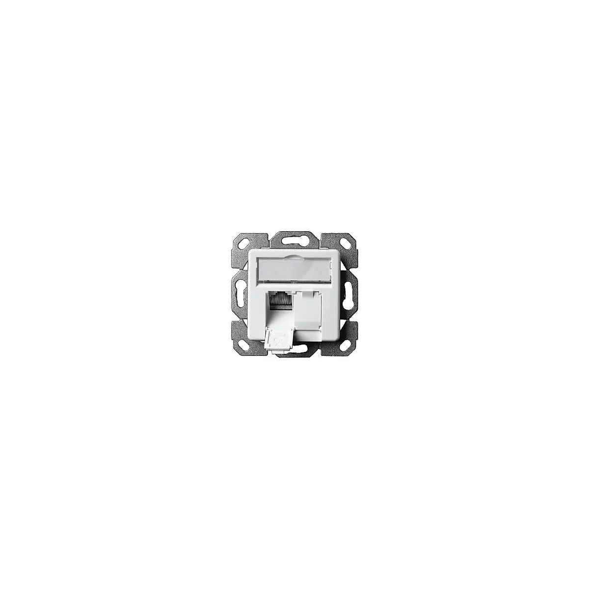 Telegärtner AMJ45 - Ausgang - CAT 5e - RJ-45 X 2 - Alpine White