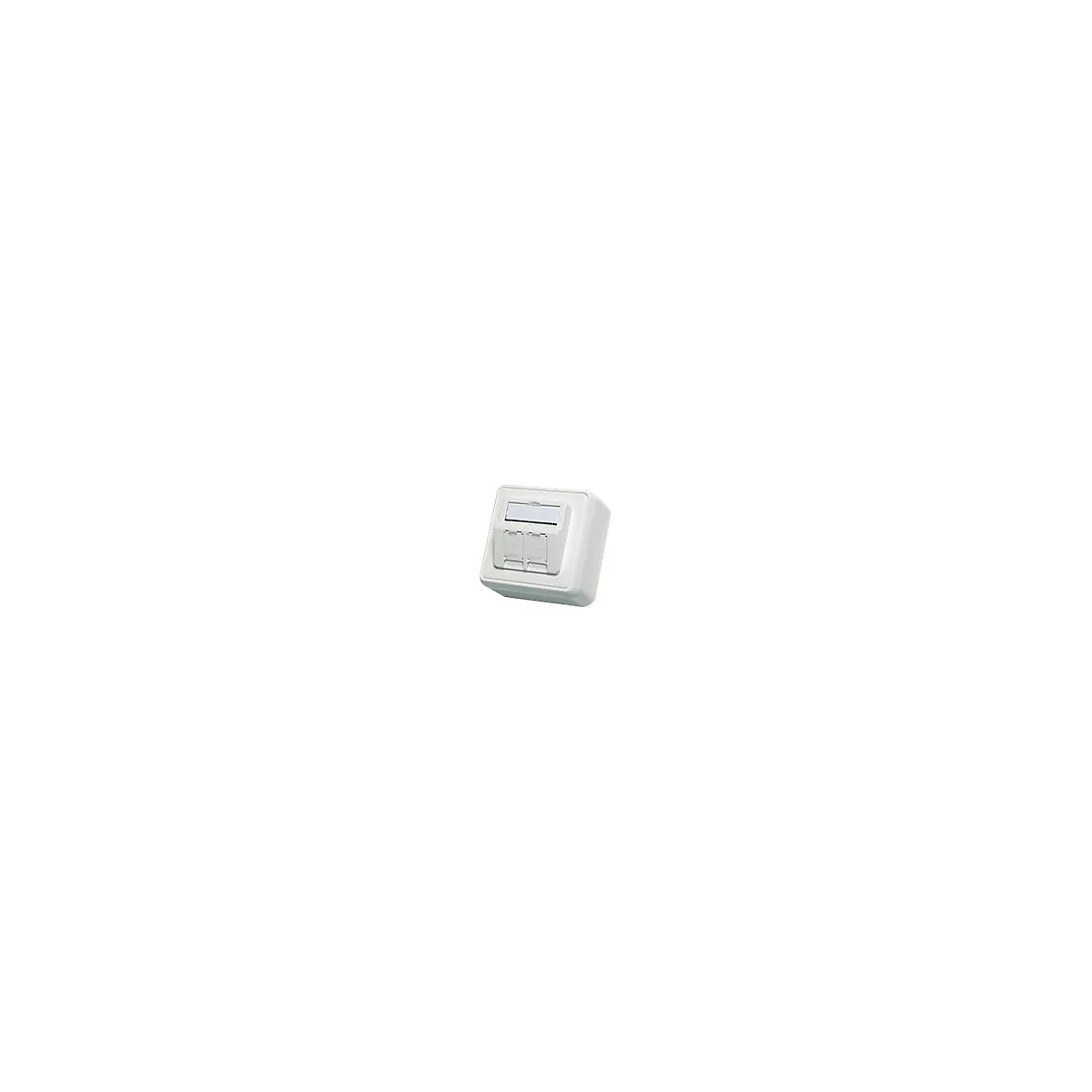 Telegärtner EMJ45 - Frontabdeckung - Alpine White - Abdeckung mit zwei Aussparungen
