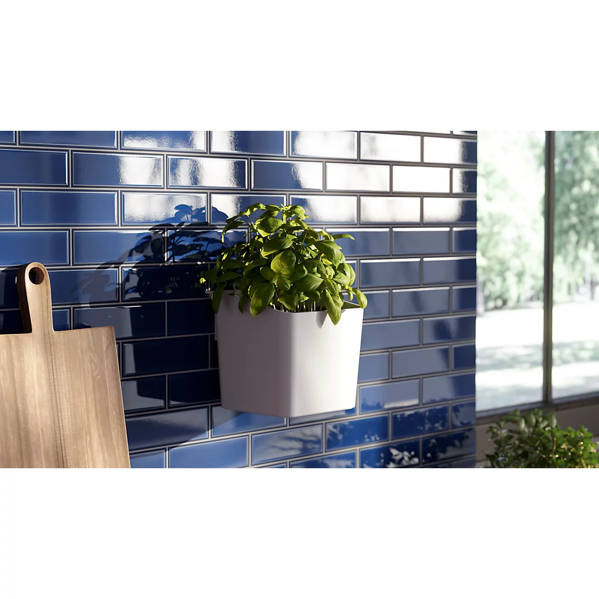 Un pot de basilic sur un mur bleu. A côté, une planche en bois.
