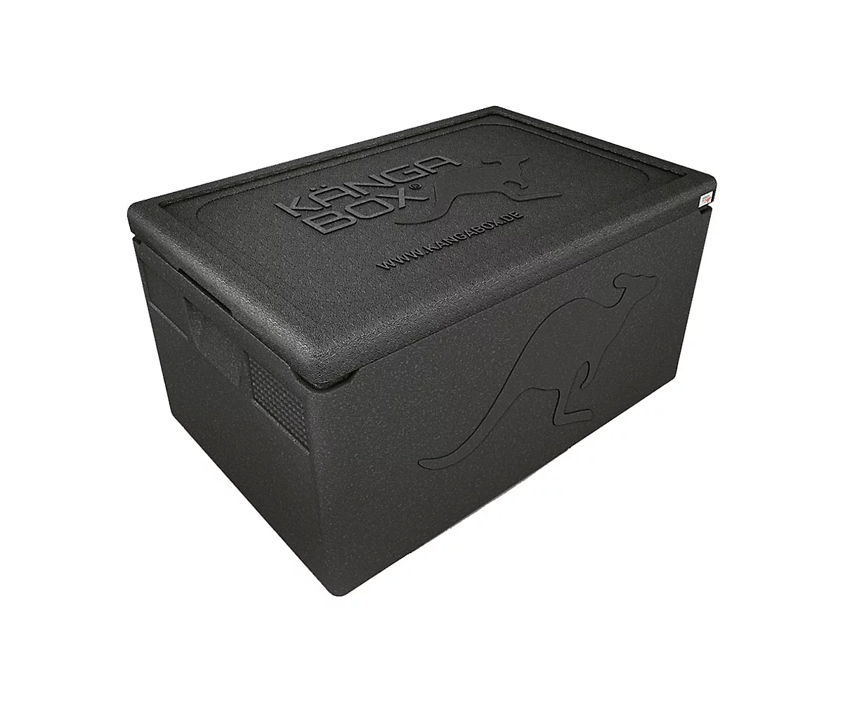 Thermobox KÄNGABOX® Professional, GN 1/1 - 39 litros, con asa de confort