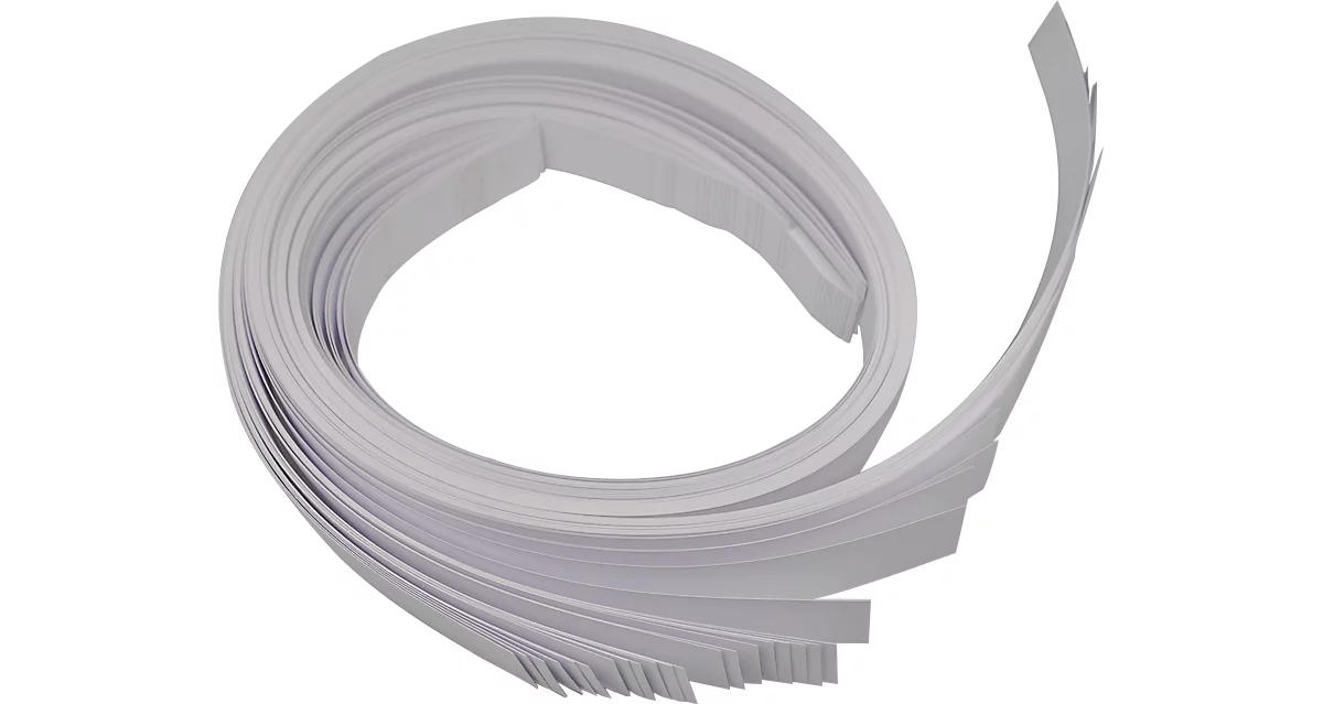 Tiras de etiquetado de cartón para perfil en C magnético, An 27,2 x L 1000 mm, 50 unid.