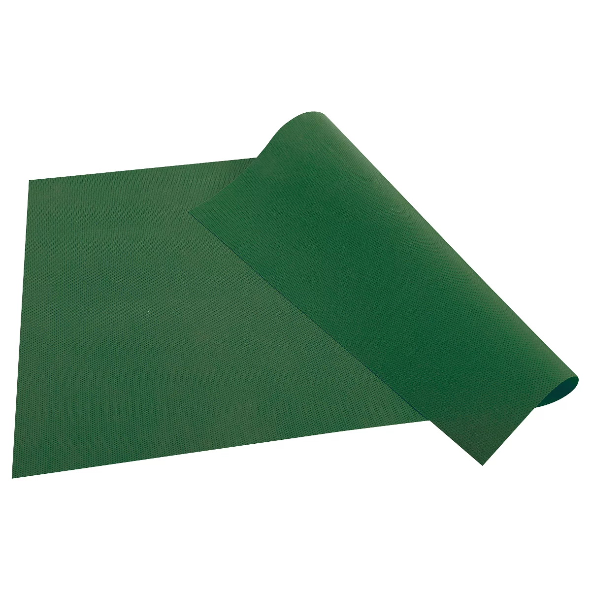 Grünes Blatt, teilweise gerollt, mit leicht geriffelter Oberfläche.