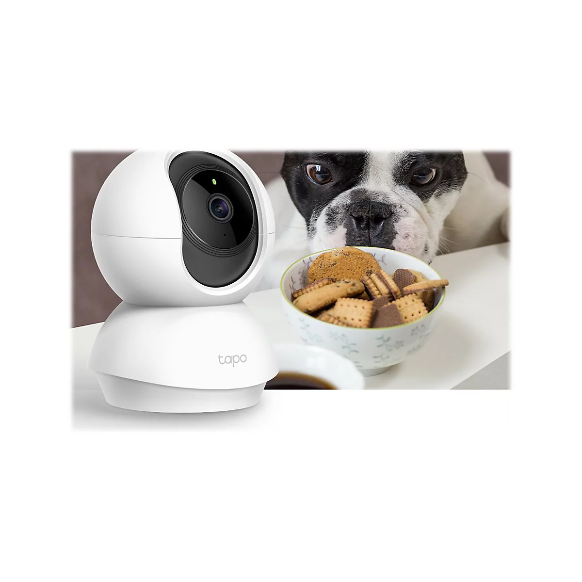Weiße Kamera mit Blick auf einen Hund, der einen Napf Kekse betrachtet.