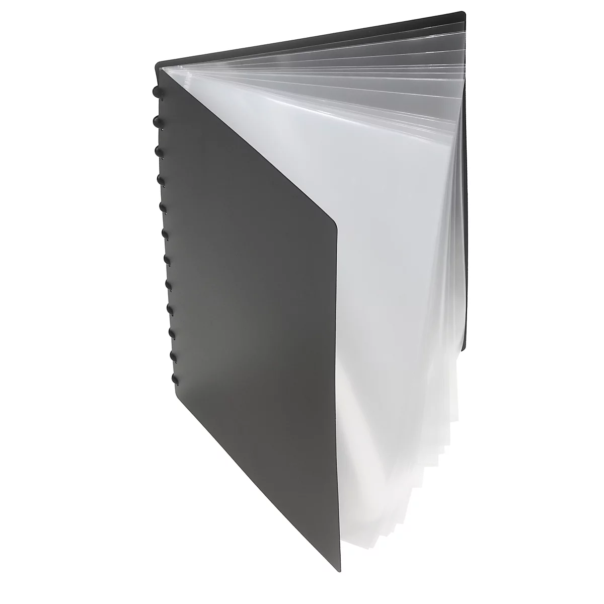 Transparante hoesjes presentatiemap FolderSys, A4, 20 hoesjes, 12 ringen, T-gestanst, kunststof