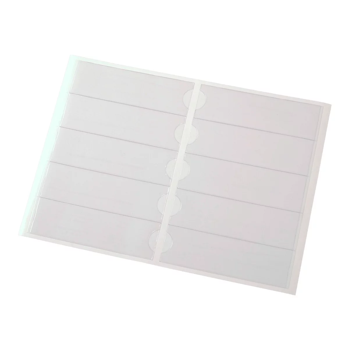 Transparent card sleeves set, interior with horizontal dividing lines and vertical binding strips.