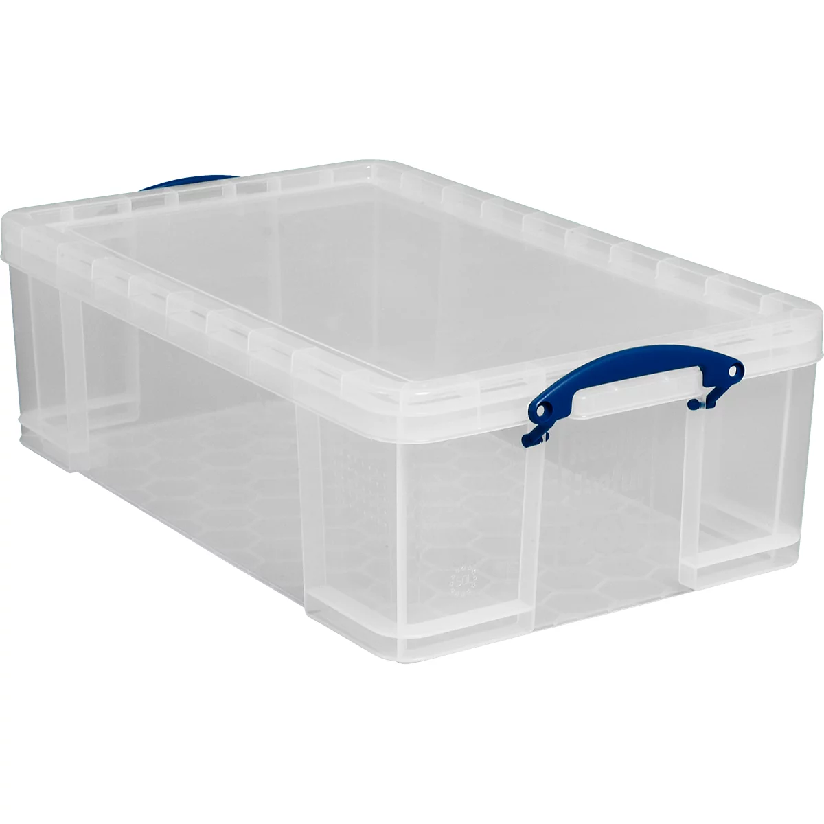 Transparent plastic box with blue handle and lid, photographed at a slight angle.