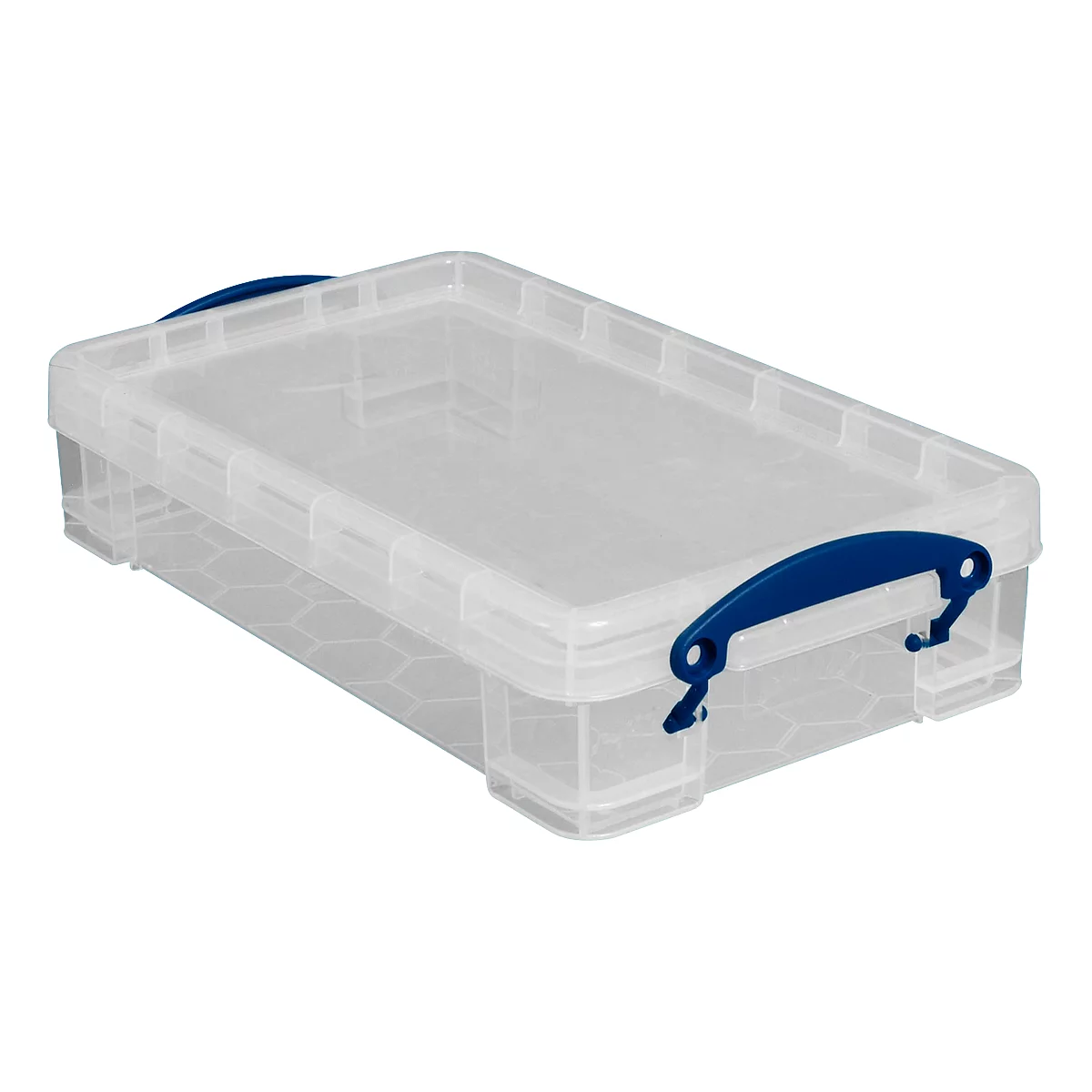 Transparente Kunststoffbox mit blauem Griff und Deckel.