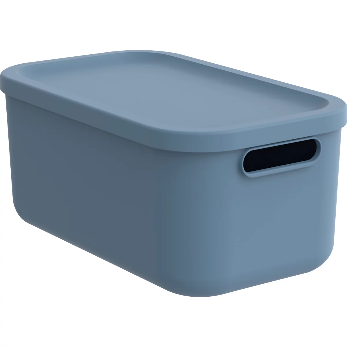 Transportbox Rotho Albula, Volumen 12 l, stapelbar, mit abnehmbarem Deckel und Grifflöchern, L 395 x B 235 x H 177 mm, Recycling-Kunststoff, blau