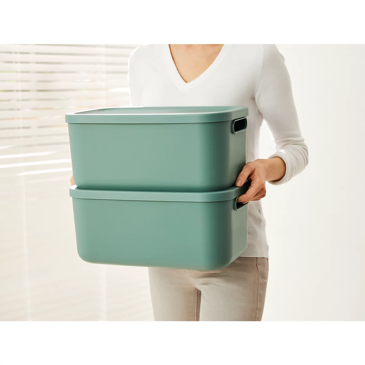 Transportbox Rotho Albula, Volumen 12 l, stapelbar, mit abnehmbarem Deckel und Grifflöchern, L 395 x B 235 x H 177 mm, Recycling-Kunststoff, grün