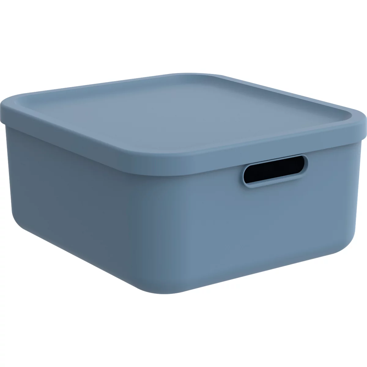 Transportbox Rotho Albula, Volumen 20 l, stapelbar, mit abnehmbarem Deckel und Grifflöchern, L 395 x B 355 x H 177 mm, Recycling-Kunststoff, blau