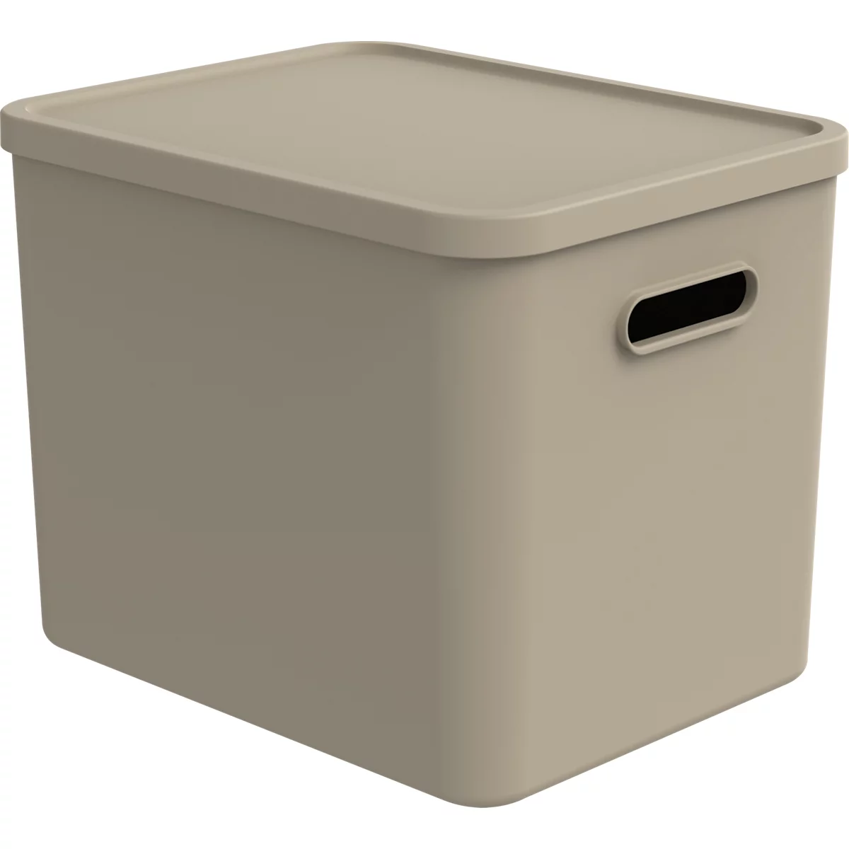 Transportbox Rotho Albula, Volumen 27 l, stapelbar, mit abnehmbarem Deckel und Grifflöchern, L 370 x B 290 x H 295 mm, Recycling-Kunststoff, braun