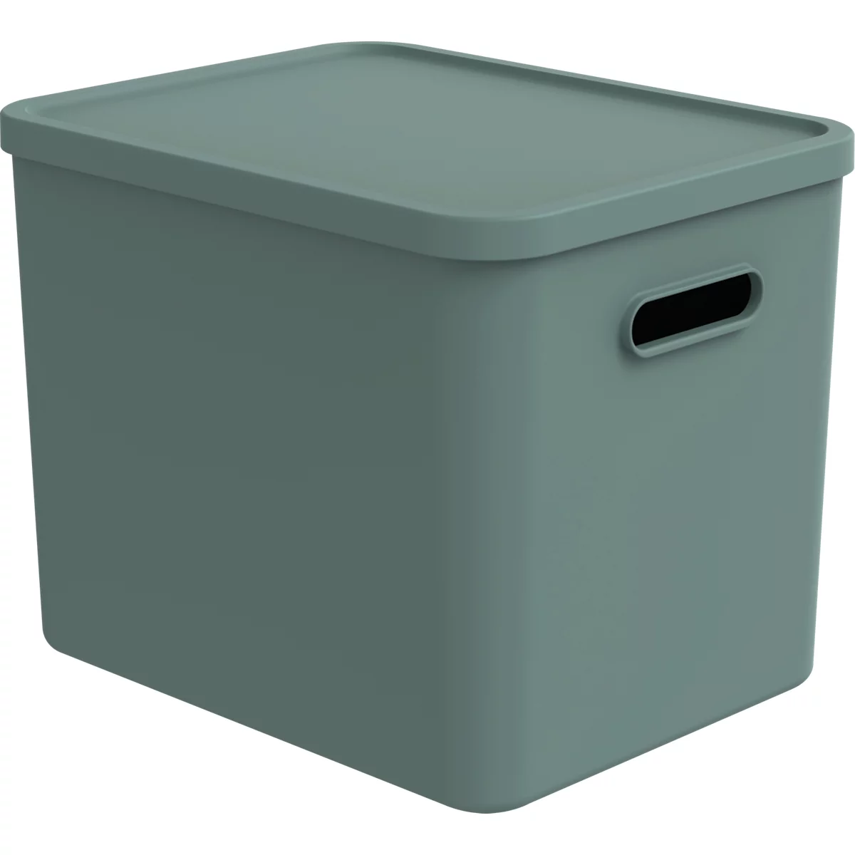 Transportbox Rotho Albula, Volumen 27 l, stapelbar, mit abnehmbarem Deckel und Grifflöchern, L 370 x B 290 x H 295 mm, Recycling-Kunststoff, grün
