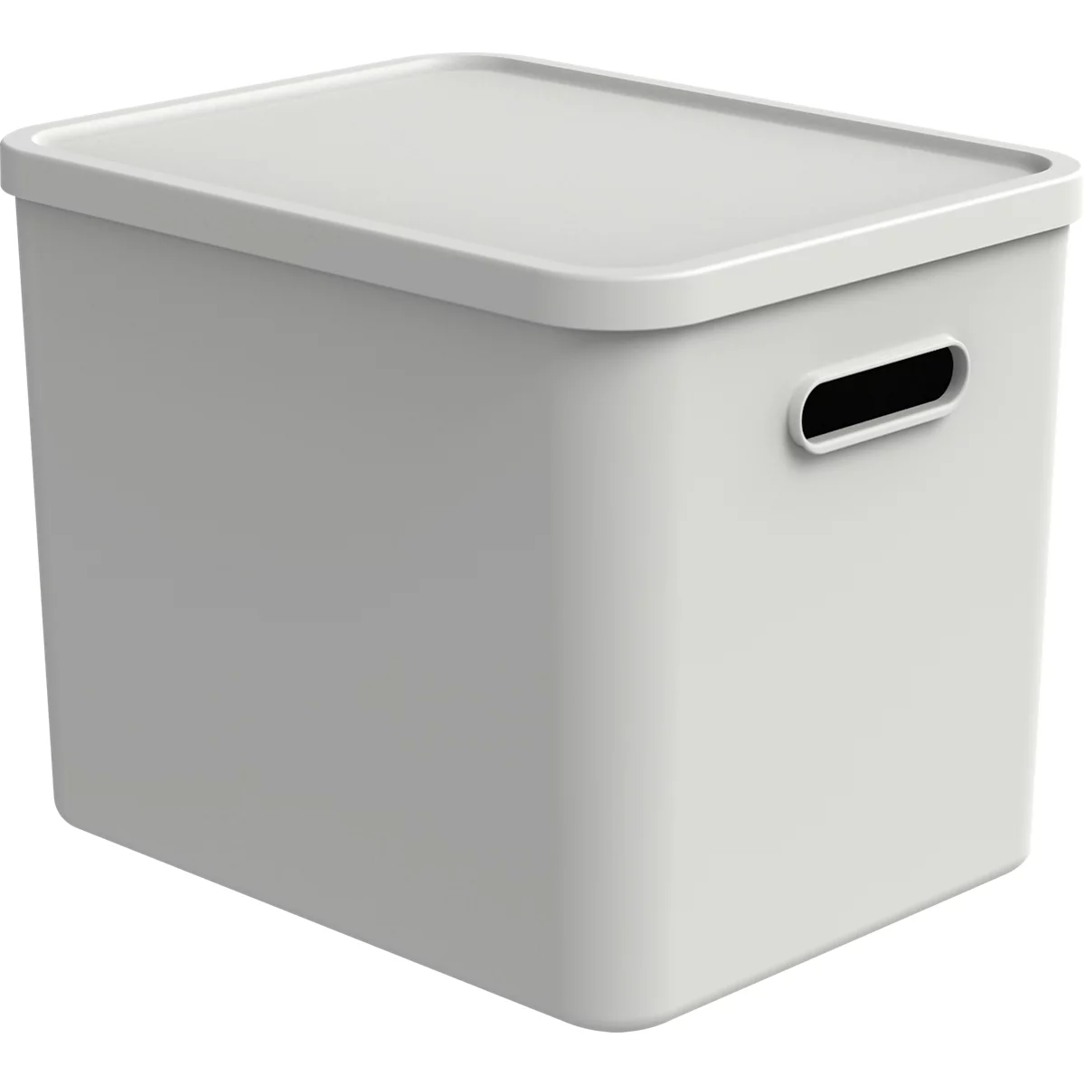 Transportbox Rotho Albula, Volumen 27 l, stapelbar, mit abnehmbarem Deckel und Grifflöchern, L 370 x B 290 x H 295 mm, Recycling-Kunststoff, weiss
