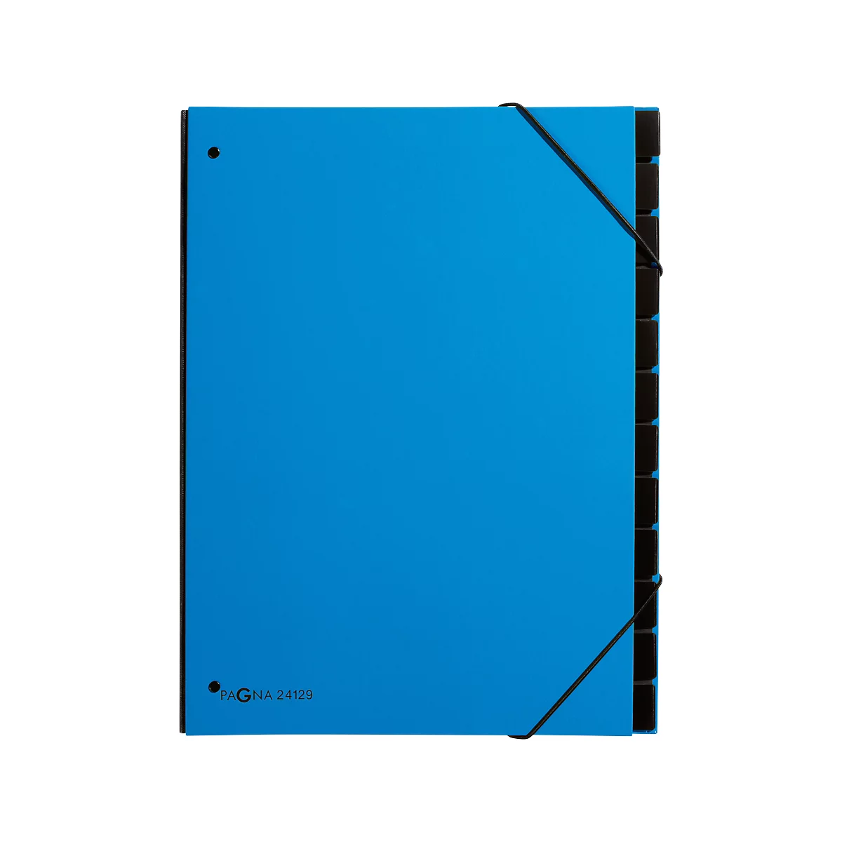 Trieur Trend PAGNA, pour format A4, carton, 12 compartiments, bleu clair