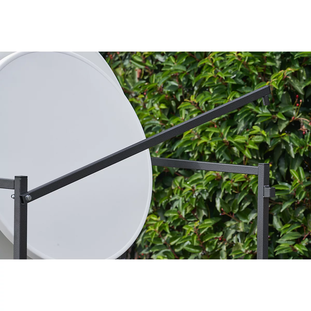 Close-up of a white satellite dish with a black metal frame, surrounded by green leaves.