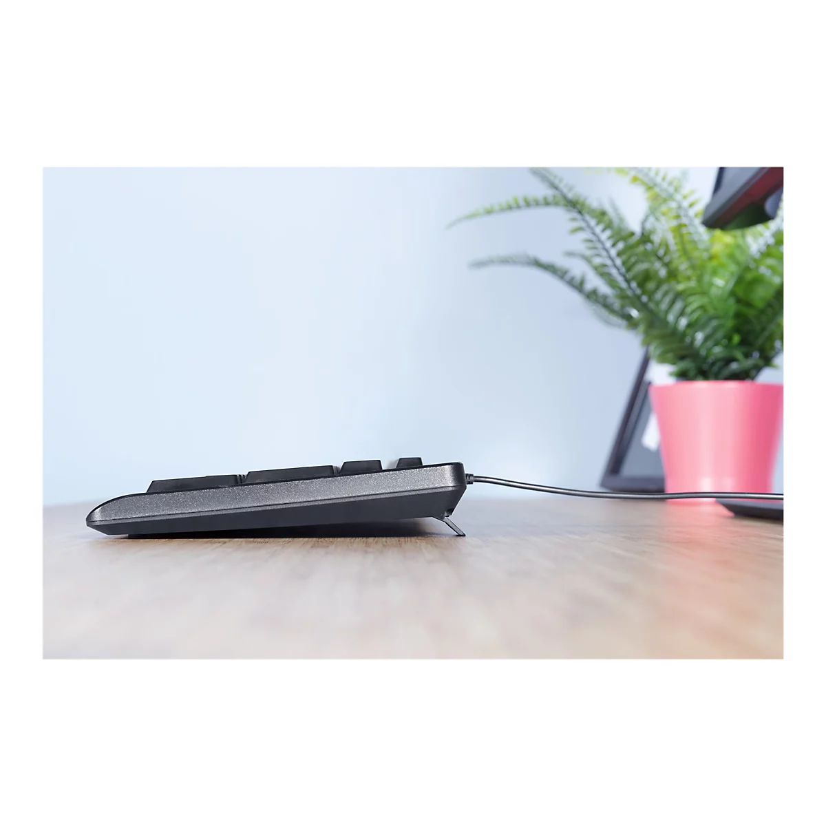 Trust Primo - Tastatur - USB - QWERTZ - Deutsch