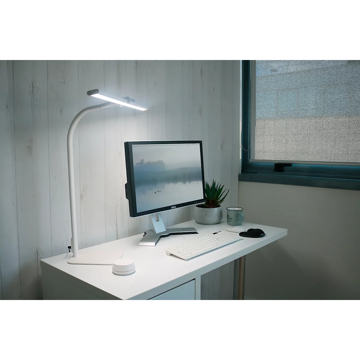 Weisser Schreibtisch mit Monitor, Lampe und Pflanzen. Helles Licht von der Lampe, Blick auf Fenster im Hintergrund.
