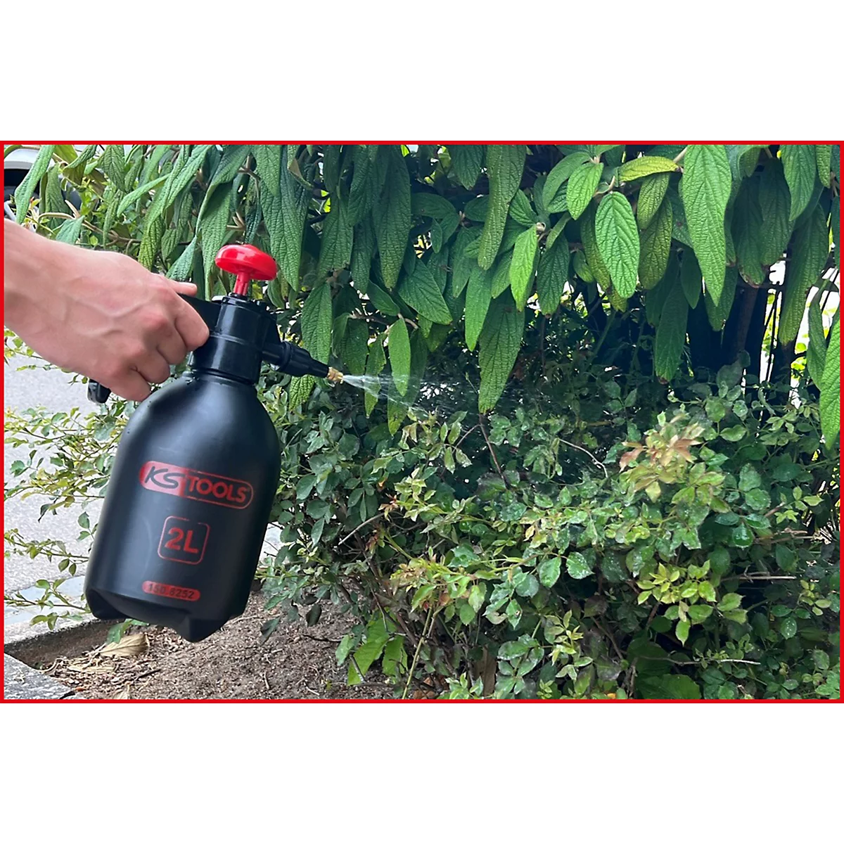 Eine Person besprüht mit einer schwarzen KS TOOLS Sprühflasche Sträucher. Aus der Düse kommt ein Wasserstrahl.