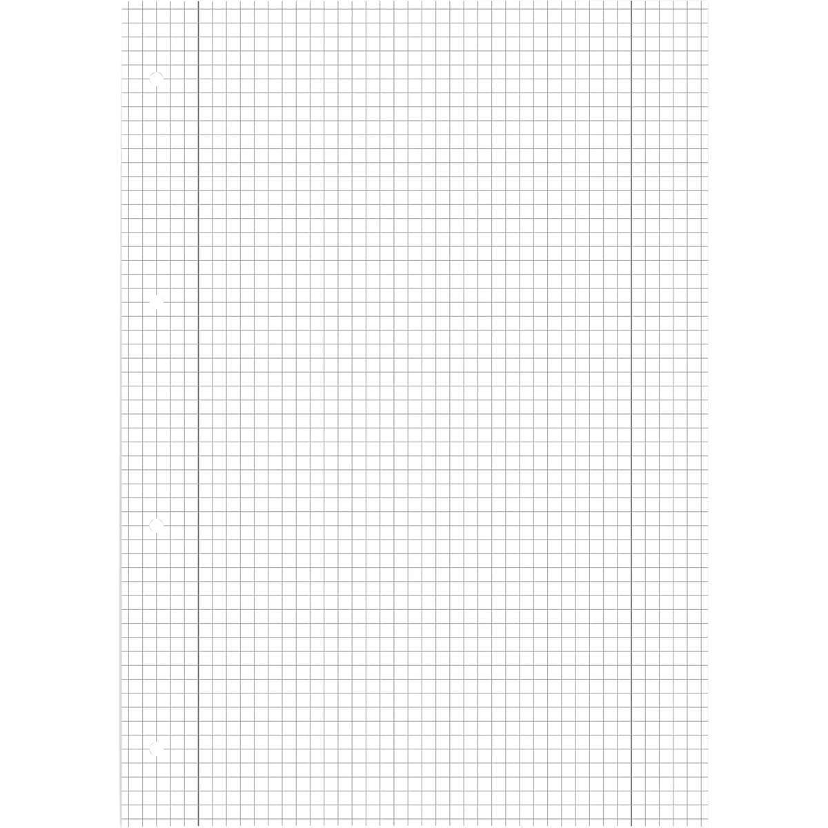 Ein Blatt kariertes Papier mit vertikalen Linien und Lochung am Rand.