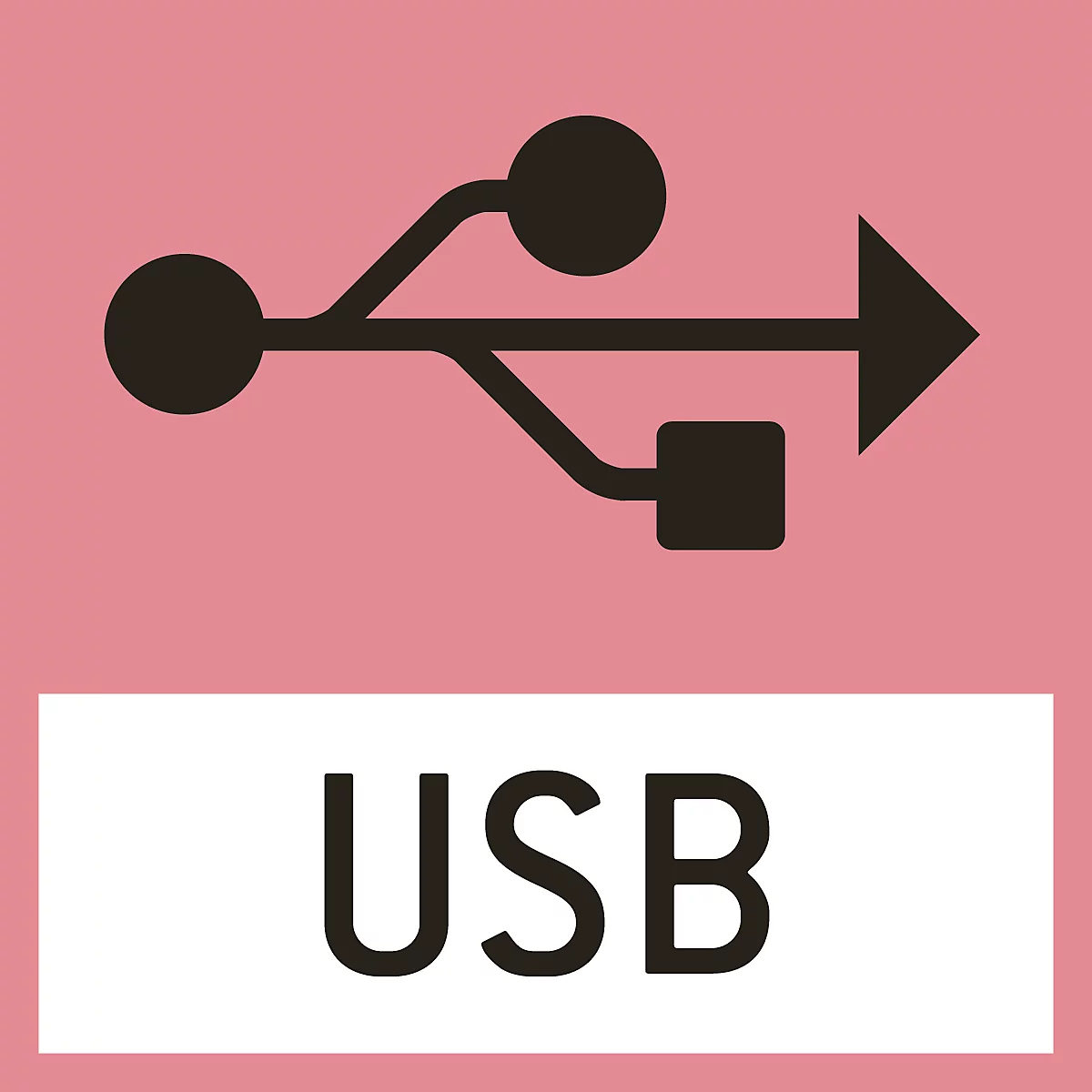 Black USB symbol on pink background. Below, white box with the word 'USB'.