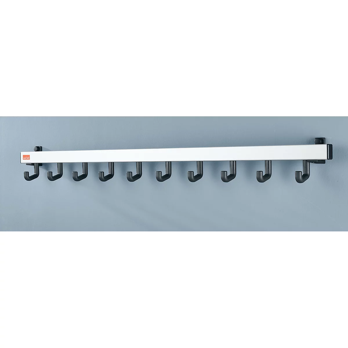 Van esch Kapstok met 10 haken