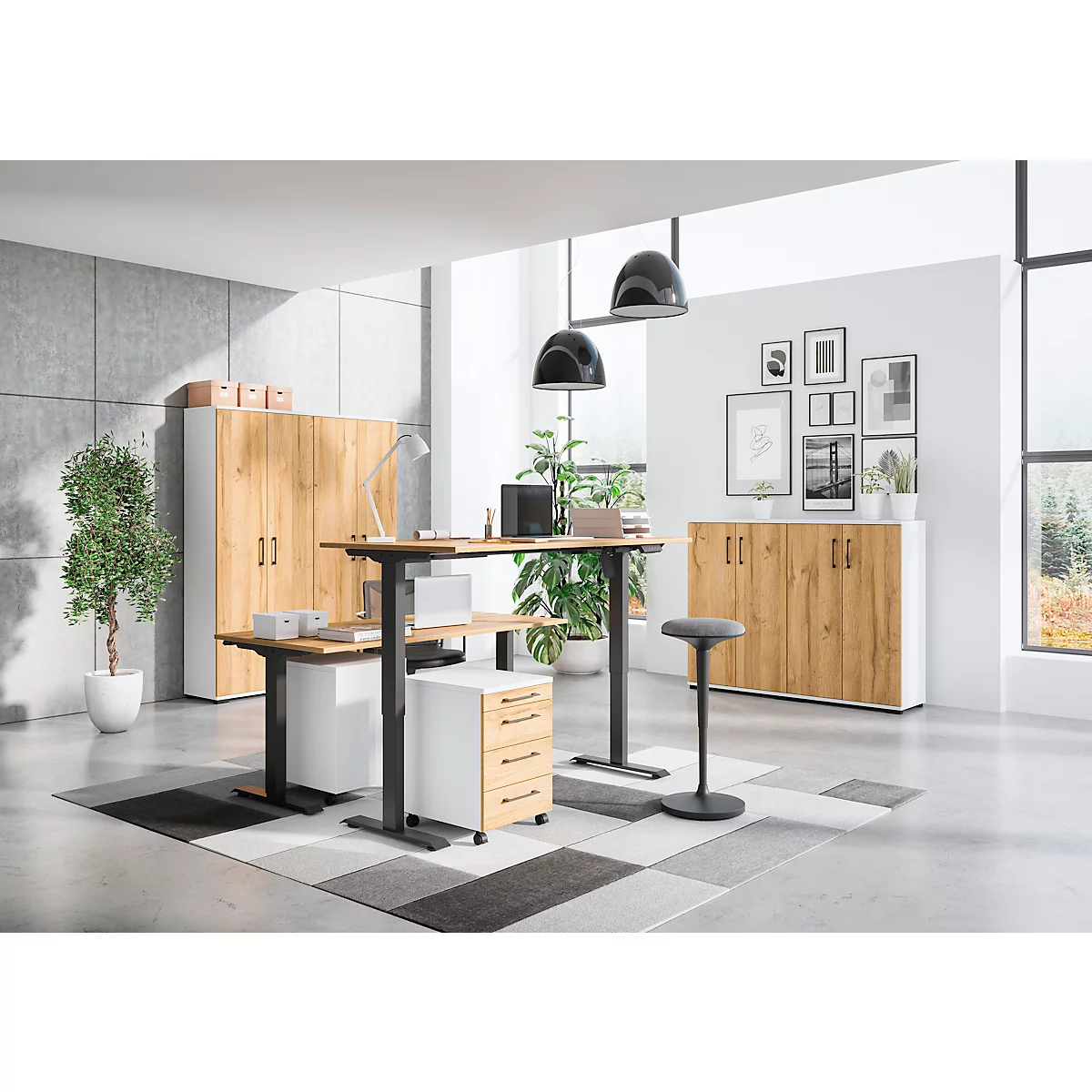 Modern kantoor met in hoogte verstelbare bureaus, kasten, planten, stoel en decoratieve elementen.