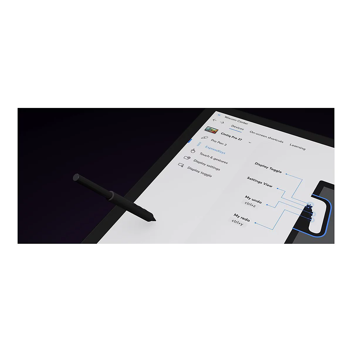 Wacom Cintiq Pro 22 - Digitalisierer mit LCD Anzeige - 47.6 x 26.8 cm - Multi-Touch - elektromagnetisch - 8 Tasten
