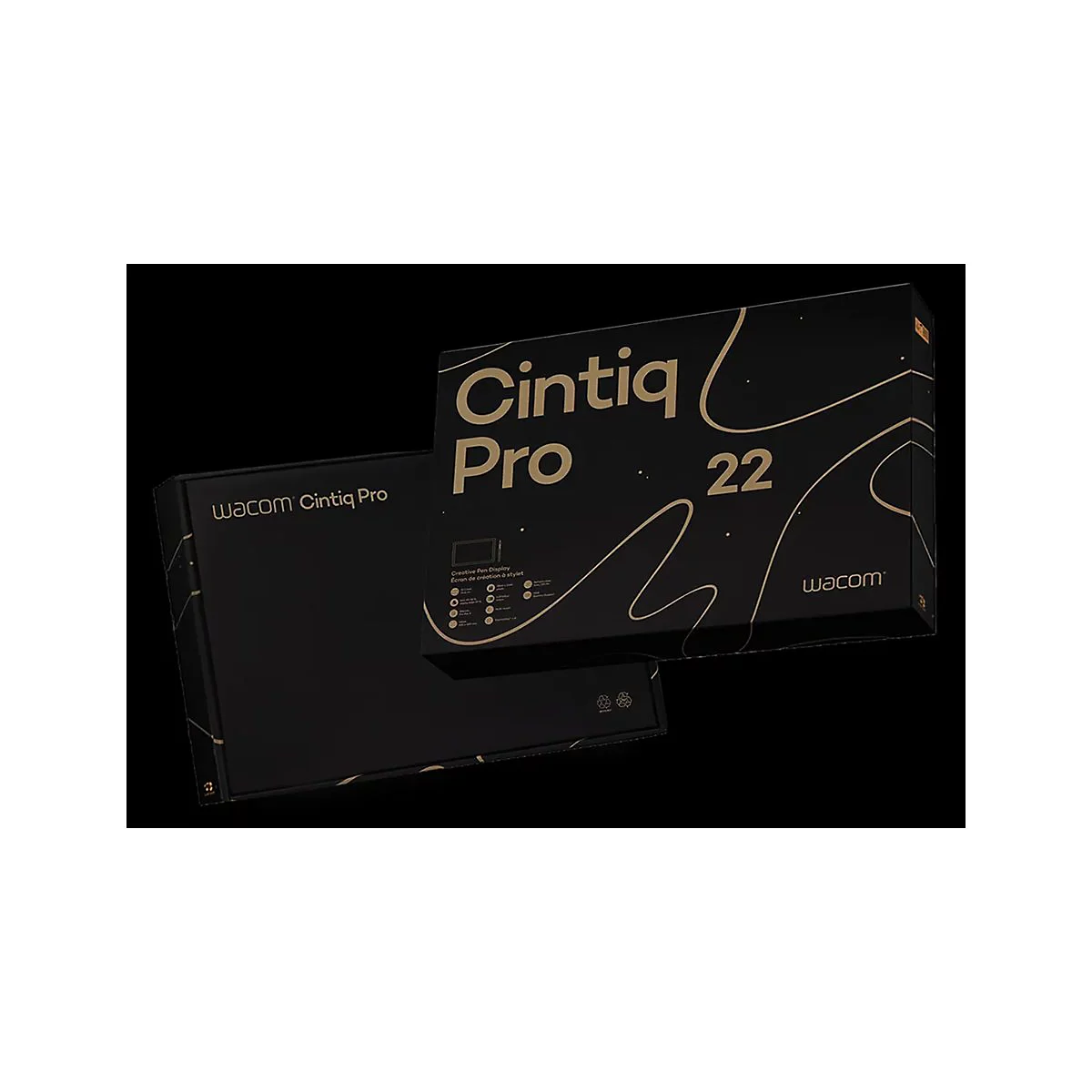Wacom Cintiq Pro 22 - Digitalisierer mit LCD Anzeige - 47.6 x 26.8 cm - Multi-Touch - elektromagnetisch - 8 Tasten